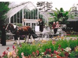 Hoop carriage ride