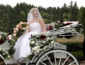 Wedding bride carriage